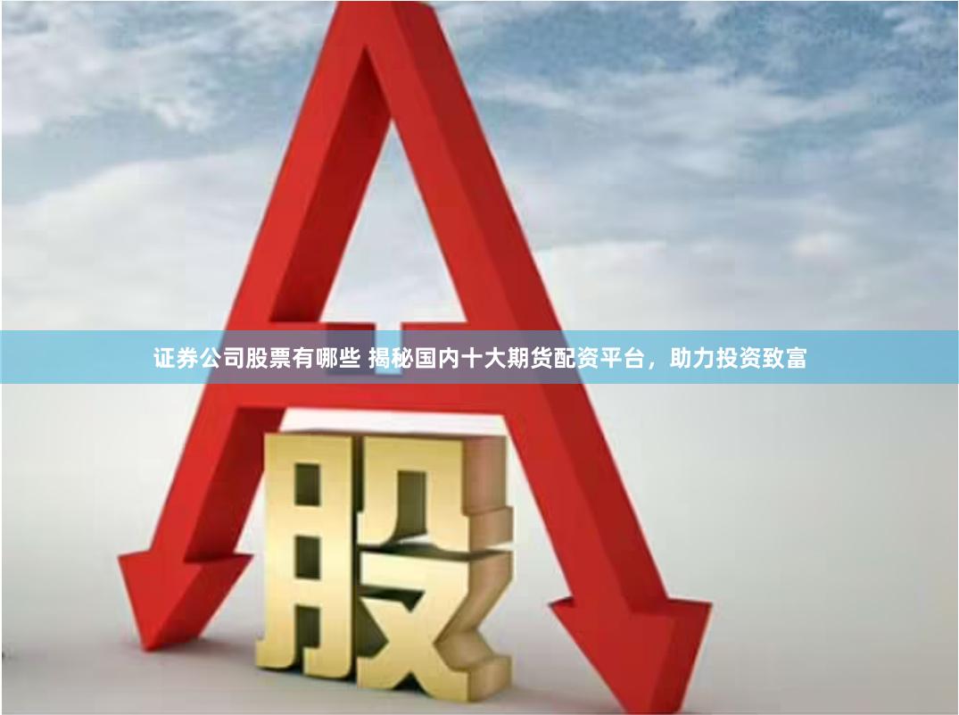 證券公司股票有哪些 揭秘國(guó)內(nèi)十大期貨配資平臺(tái)，助力投資致富